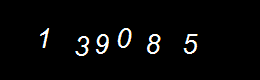 Real Person Number