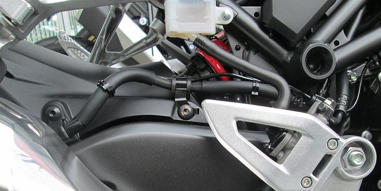 The rear shock is just visible on the swingarm