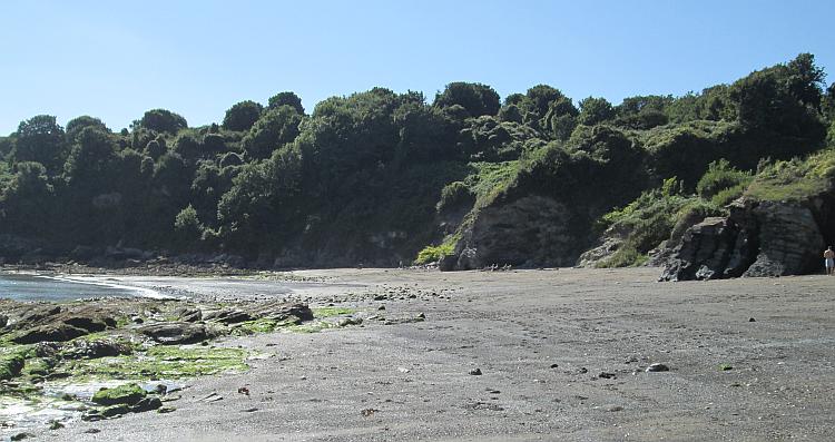 St Mary's beach is a little rocky, surrounded by thick trees and very quiet today