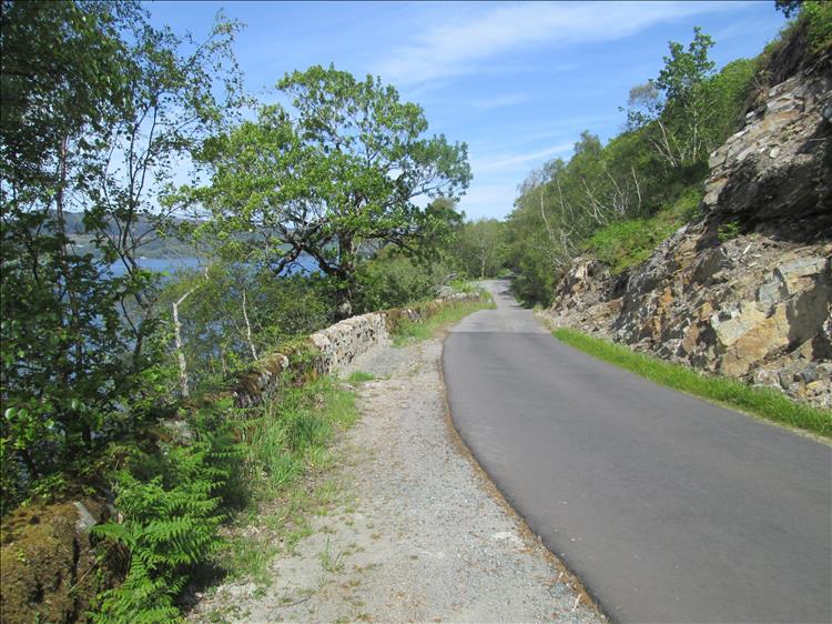 The ribbon of narrow tarmac set between the trees with hill on one side and the loch on the other