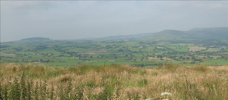 Rolling hills, green fields and tall grasses looking out over the Bowland area of Lancashire