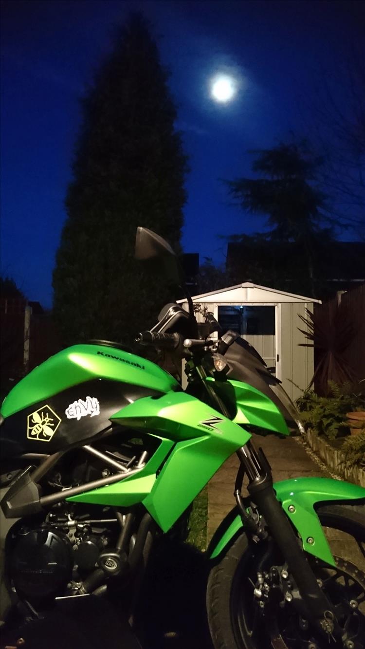 Envy the green Z250SL set against night skies and the illuminated garden