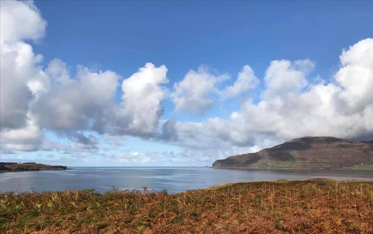 Blue skies, white fluffy clouds, calm waters and hardy grasses form a scene on Mull