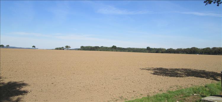 A perfectly ploughed field with trees in the distance in Northern France's sunshine