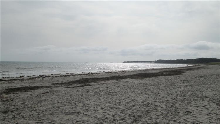 A sandy beach curving around with calm waters at Ballywalter