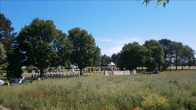 Big trees, deep grass with some poppies and in the distance row upon row of military graves