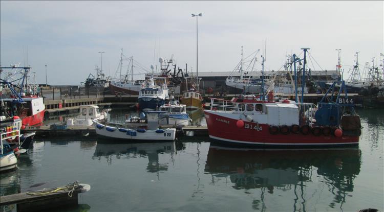 Fishing trawlers, jetties, buildings and all the associated workings of a busy harbour
