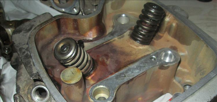 The valves in the cylinder head do no have a bath of oil for the camshaft