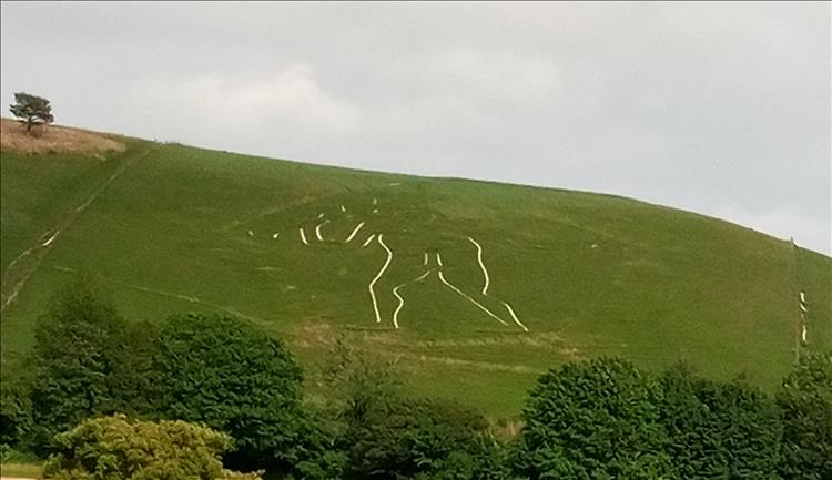The Cerne Abbas Giant. A massive chalk outline of a man on the side of a hill