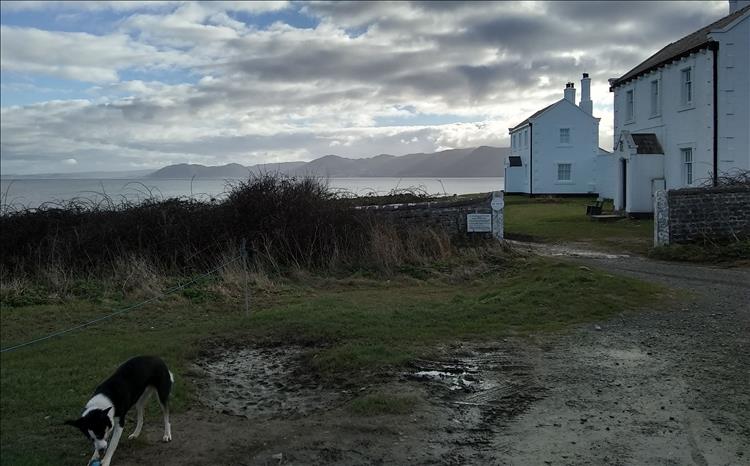 A collie rips at a ball in the beautiful backdrop of Penmon Point