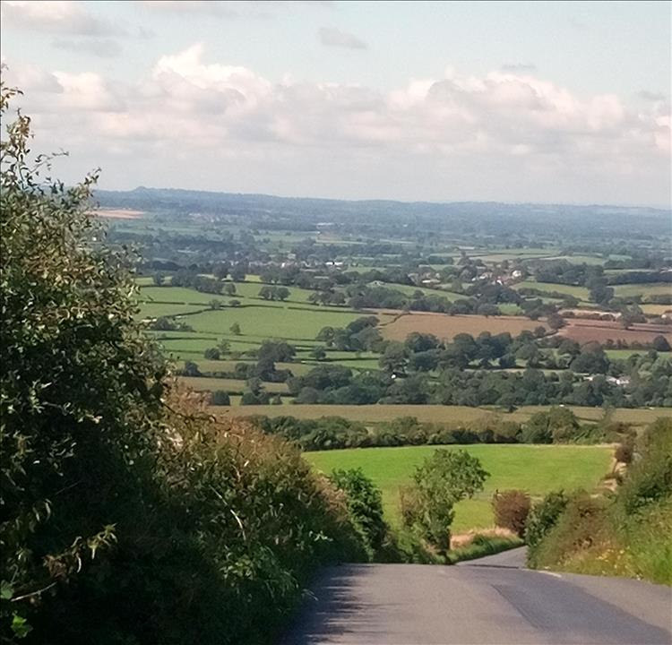 Looking down a hill and lane we see spread out below the lush wonderful dorset scenery