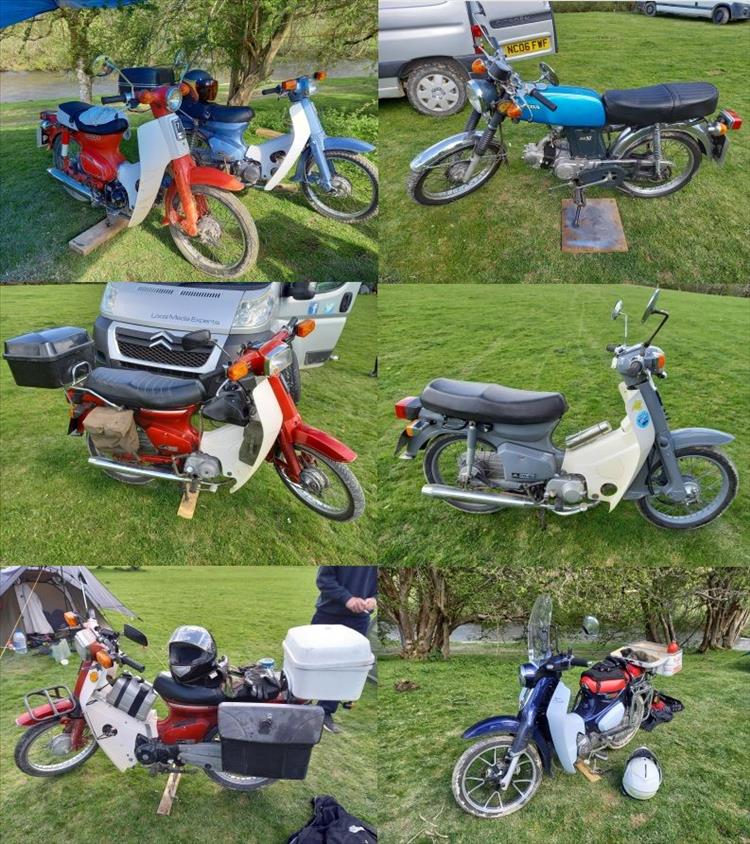 A montage of Honda Cubs of various sizes and ages