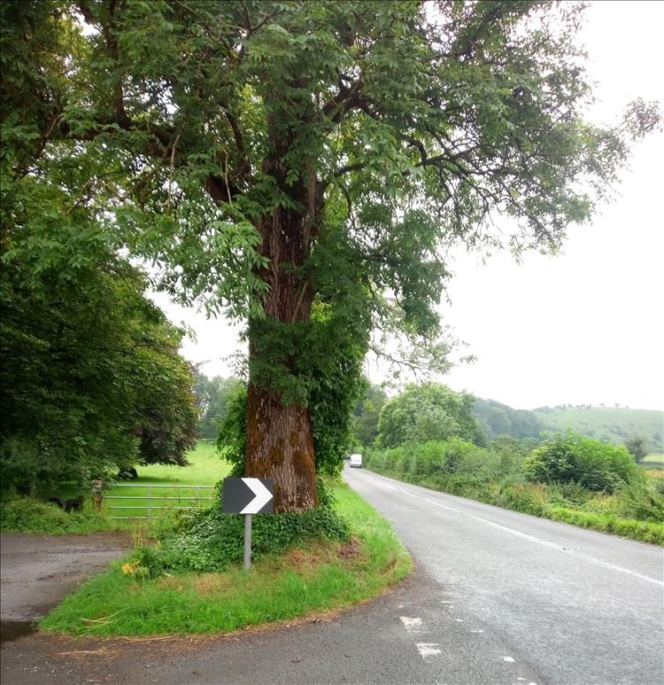A single corner chevron on a rural lane somewhere in Dorset