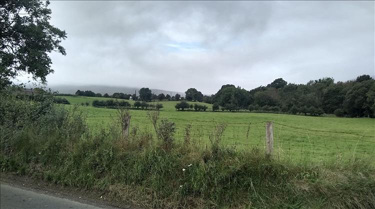 Trees, fields, rolling hills Northern Ireland