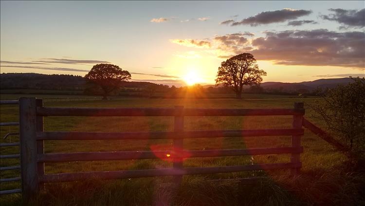 A stunning sunset over a farm gate near Bishop's Castle