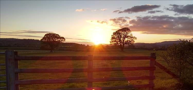 A glorious orange sunset over fields, trees and hedges in Shropshire