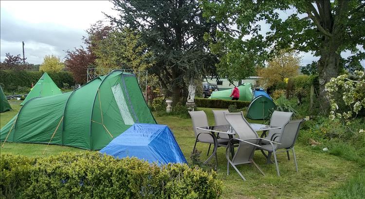 Tents of all shapes and sizes in the large garden at The Tea Rooms
