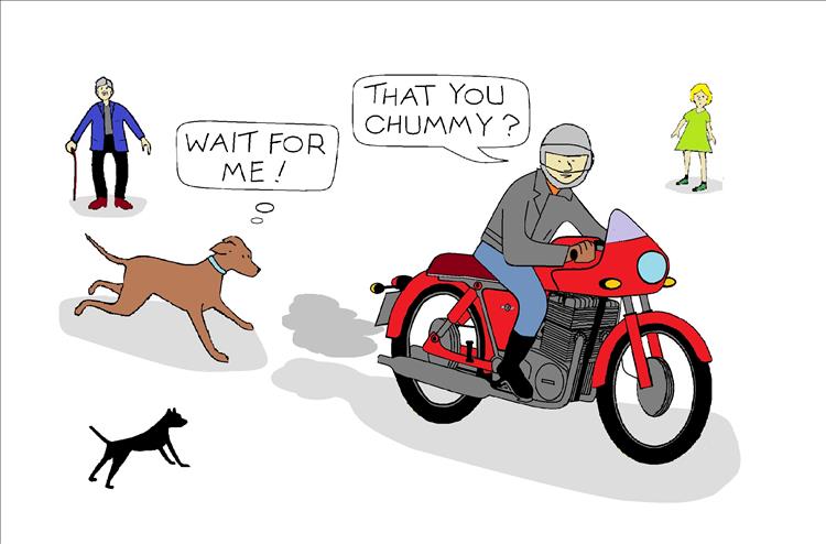 A dog chases after a rider saying wait for me! Cartoon