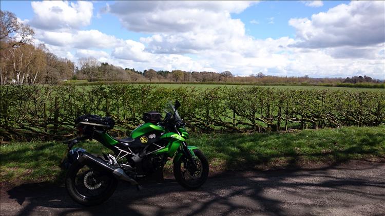 Sharons Kawasaki in front of a big green field in Chshire