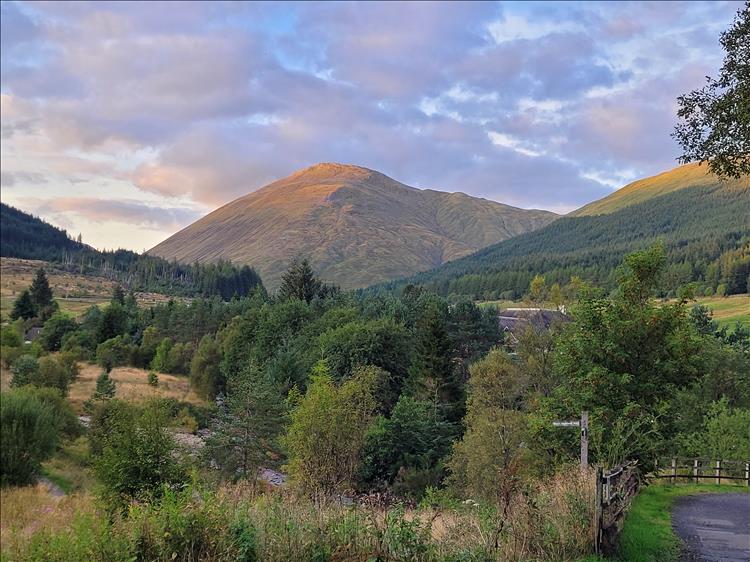 A large hill and trees in the valley as seen from Tyndrum