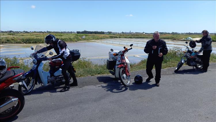 The motorcycles and rider are parked in front of swathes of rushes, grasses and shallow rivers