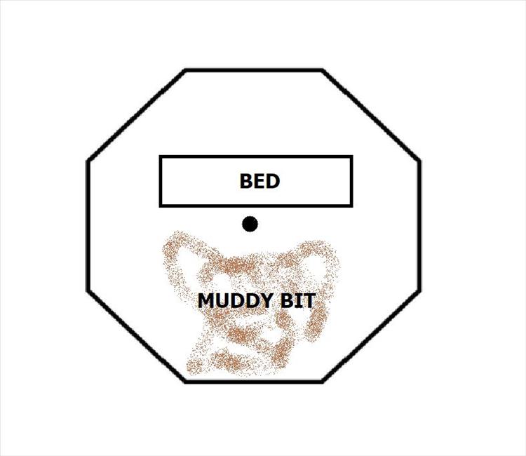 A diagram of the octagonal tent, the bed and the muddy bit
