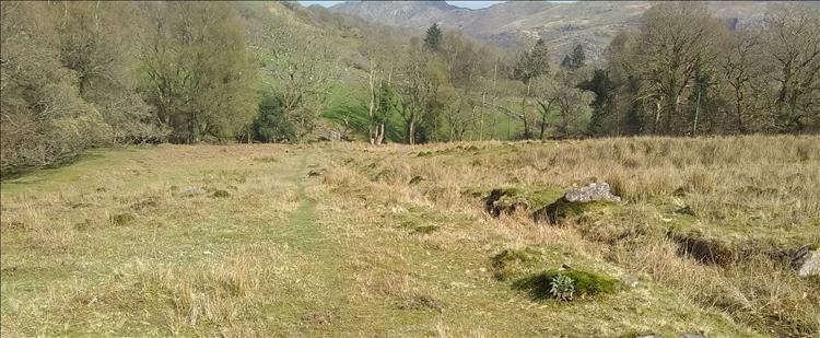 A hard grassy field with a vague path of slightly shorter grass on the path to Beddgelert
