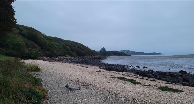 A white shell shale beach, green bluffs rolling to the sea, a small island and rocks