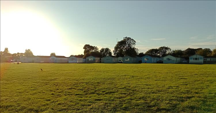 A bright sunshine over a broad grass field with modern simple lodges in a row