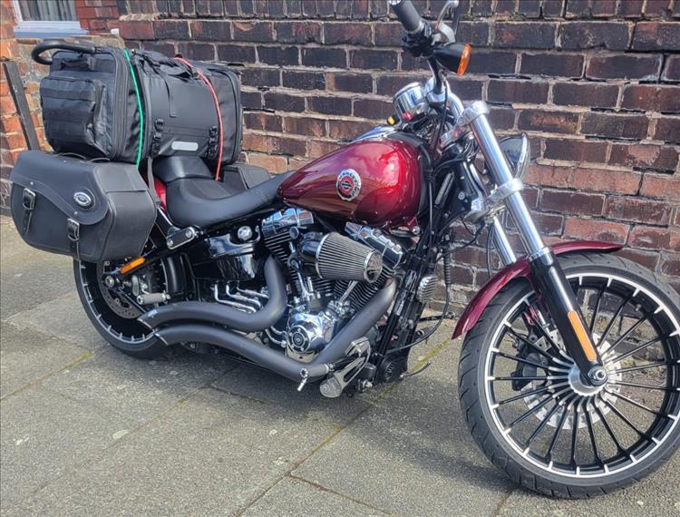 Rik's harley complete with luggage for the week