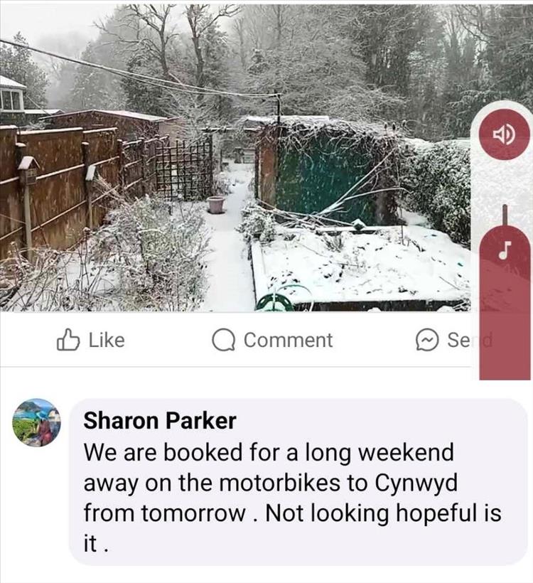 A screen capture showing an image of thick snow in a garden and Sharon's comment below
