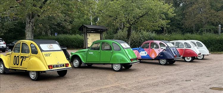 5 very smart Citroen 2CVs in a gravel car park