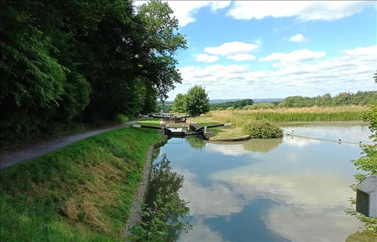 Canal locks, beside there's a large body of water. Trees, bulrushes, and sunshine