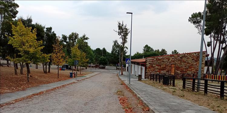 Dry ground covered in dry leaves and pine needles, the smart buildings and road at the campsite