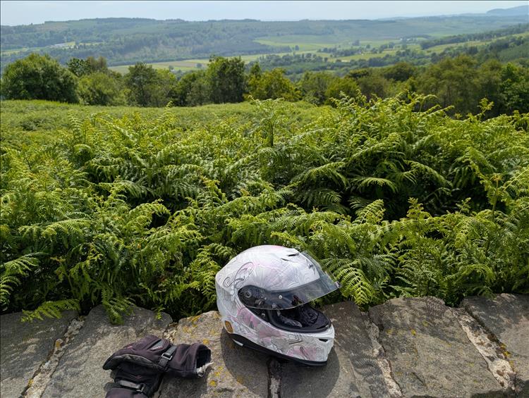 Stone wall, Sharons helmet, a field deep in ferns with trees and hills in the distance
