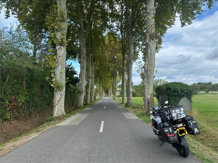 Along a narrow road in France tall stright trees line either side forming almost a tunnel of trees