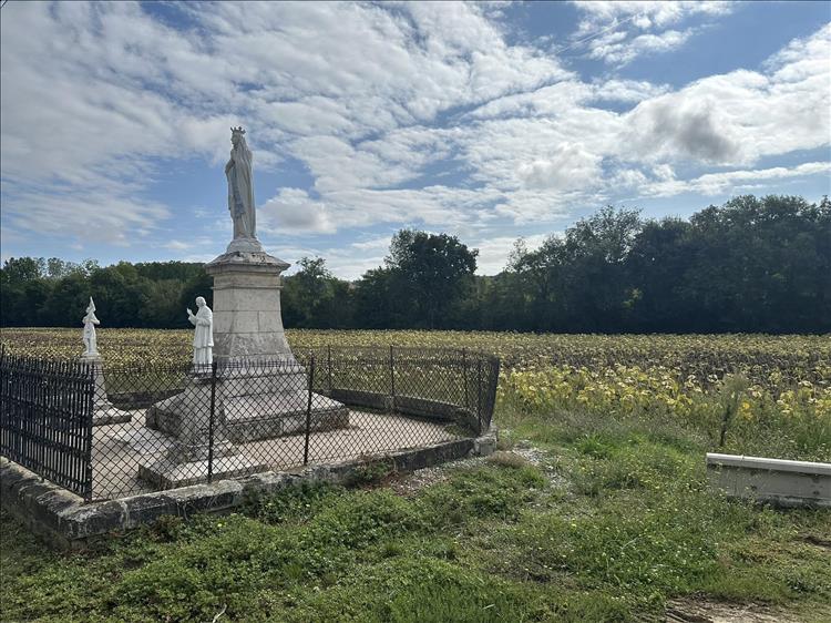 A religious statue in front of a field of wilting sunflowers