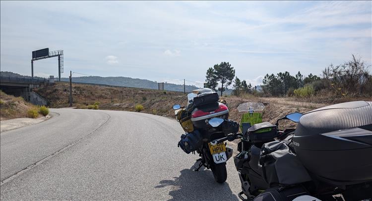 The bikes by the road, the grasses are thin and hardy and yellow, there are dry green trees too