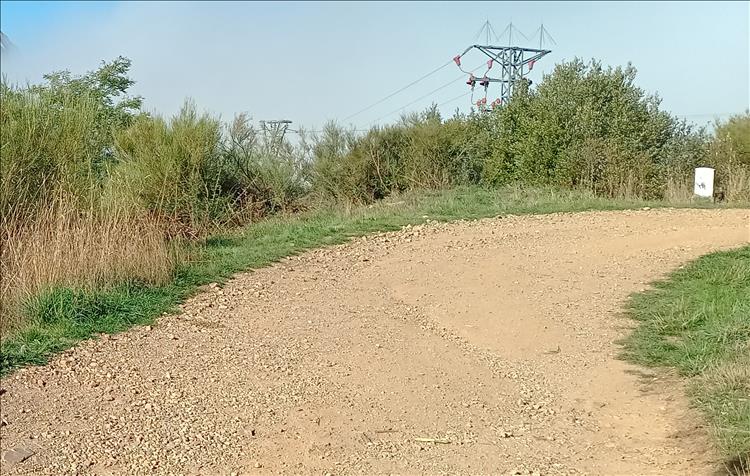 A tan coloured gravel track of leading upwards through hardy grasses