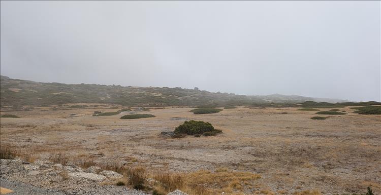 Cry grasses and hardy bushes, but mist prevents us seeing out into the distance