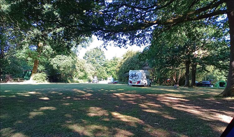 A mid sized motorhome on the grass under the trees and dappled sunlight at the campsite