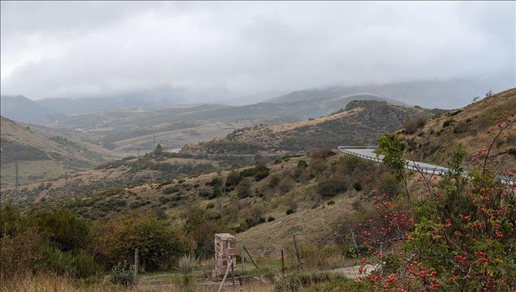 Trees, hills, a winding road, vast views all shrouded in mist and light rain