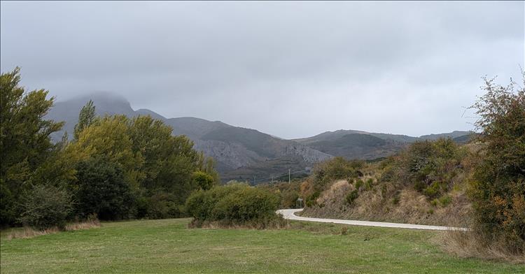 Trees and the road, with misty rocky mountains on the road out of town