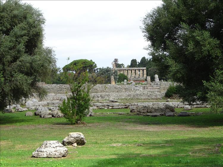 Trees and rocky ground before the ancient ruin of Paestum in the distance