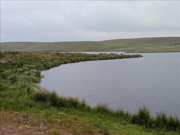 Rugged hardy moor and the waters of a reservoir near Loch Thom