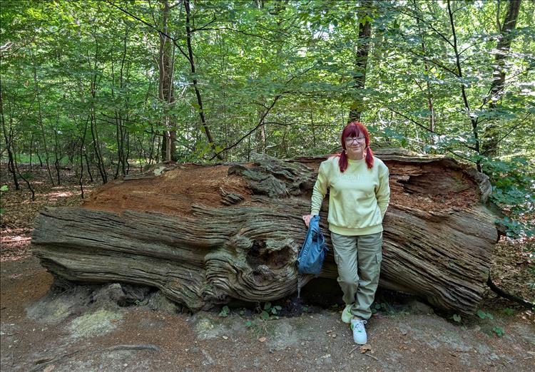 Sharon is happy beside a massive trunk of a fallen tree in the forest
