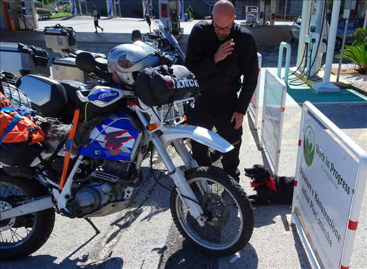 A man and a black dog by an off road motorcycle set up for travelling