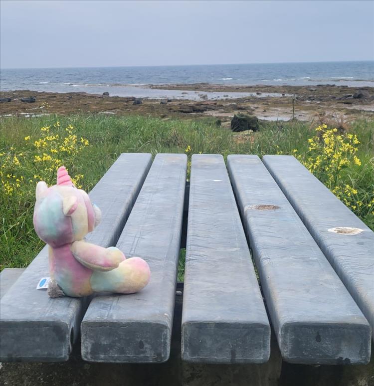A stuffed cute unicorn sat on a bench overlooking the clyde estuary