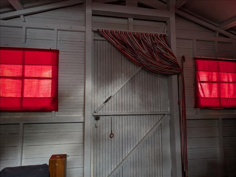 We see the side of the shed with a couple of small windows covered in red blinds