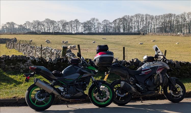 Behind the bikes there's sheep in fields and a line of leafless trees. Otherwise glorious sunshine